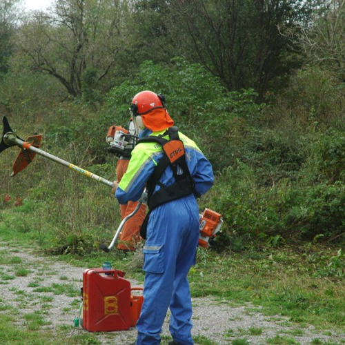 Pulizia sito del vascone antincendio di Trebiciano n. 22 / 86485