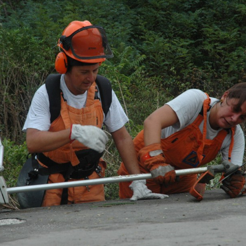 Pulizia sito del vascone antincendio di Trebiciano n. 25 / 86488