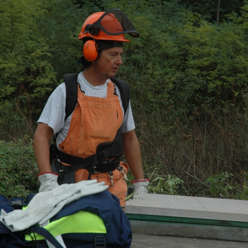 Pulizia sito del vascone antincendio di Trebiciano n. 26 / 86489