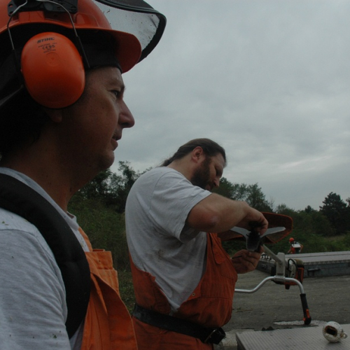 Pulizia sito del vascone antincendio di Trebiciano n. 28 / 86491
