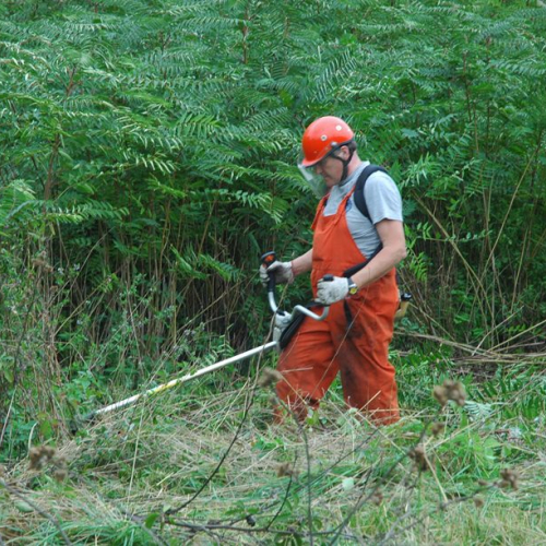Pulizia sito del vascone antincendio di Trebiciano n. 29 / 86492