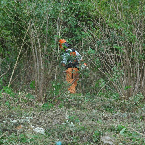 Pulizia sito del vascone antincendio di Trebiciano n. 30 / 86493