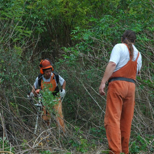 Pulizia sito del vascone antincendio di Trebiciano n. 33 / 86496