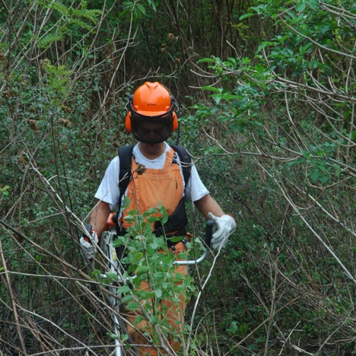 Pulizia sito del vascone antincendio di Trebiciano n. 34 / 86497
