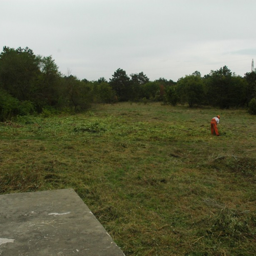 Pulizia sito del vascone antincendio di Trebiciano n. 36 / 86499