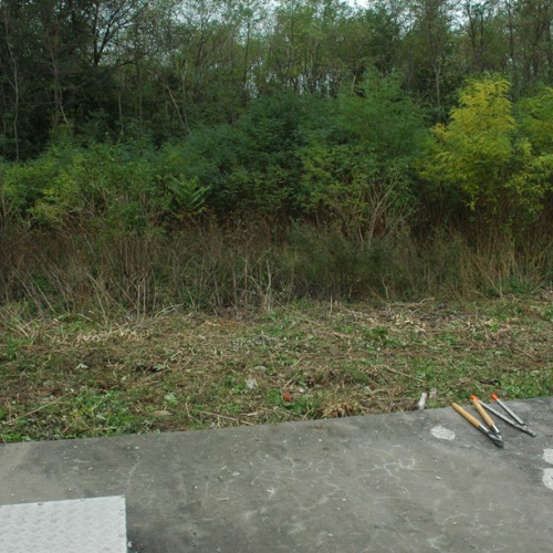 Pulizia sito del vascone antincendio di Trebiciano n. 38 / 86501