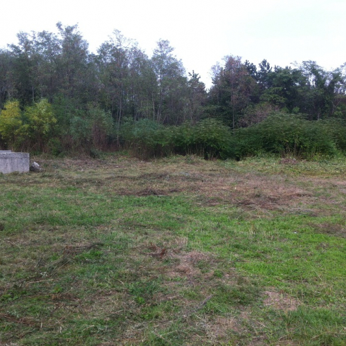 Pulizia sito del vascone antincendio di Trebiciano n. 41 / 86504