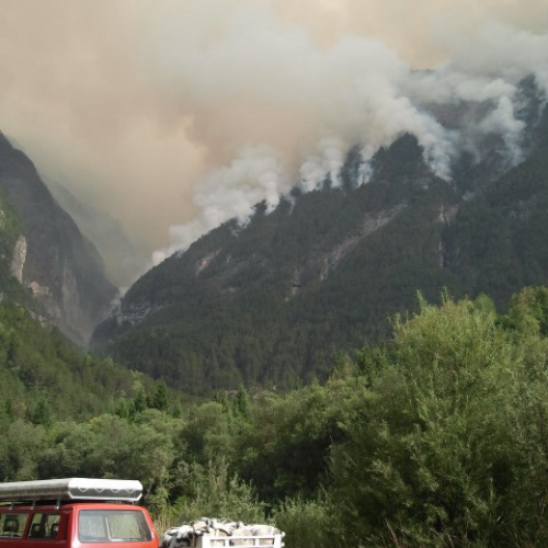Incendio monte Jovet n. 1 / 98108