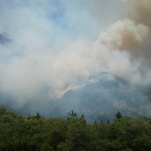 Incendio monte Jovet n. 5 / 98112