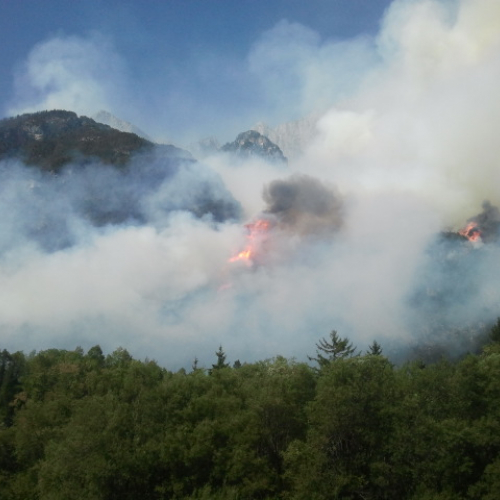 Incendio monte Jovet n. 6 / 98113