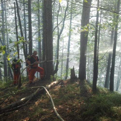 Incendio monte Jovet n. 9 / 98116
