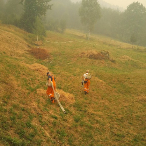 Incendio monte Jovet n. 2 / 98225