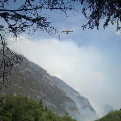 Incendio monte Jovet n. 4 / 98227