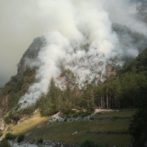 Interventi del 12/08 n. 1 / 98341