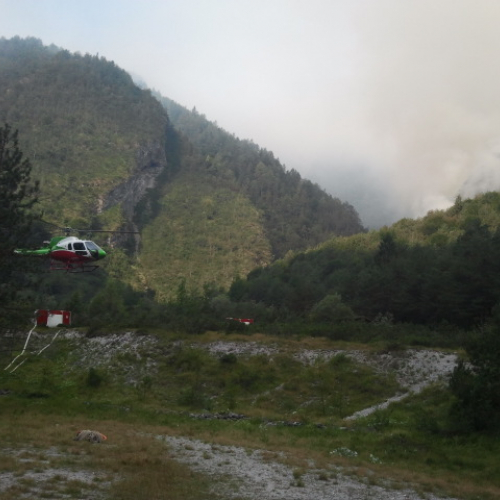 Interventi del 12/08 n. 2 / 98342