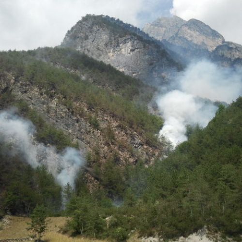 Interventi del 12/08 n. 8 / 98348