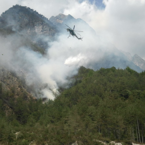 Interventi del 12/08 n. 9 / 98349