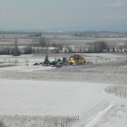 Interventi per la neve del 12/02/13 n. 1 / 90867