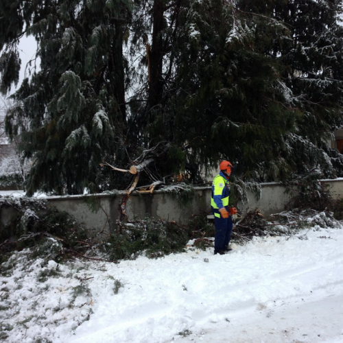 Interventi per la neve del 12/02/13 n. 2 / 90868