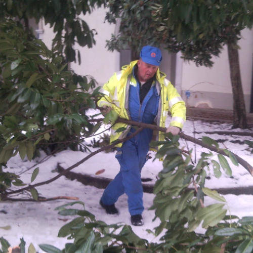 Interventi per la neve del 12/02/13 n. 5 / 90871