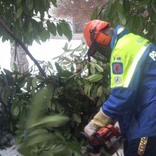 Interventi per la neve del 12/02/13 n. 7 / 90873