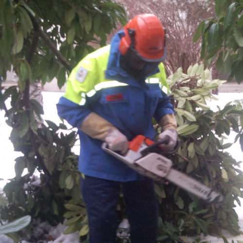 Interventi per la neve del 12/02/13 n. 8 / 90874