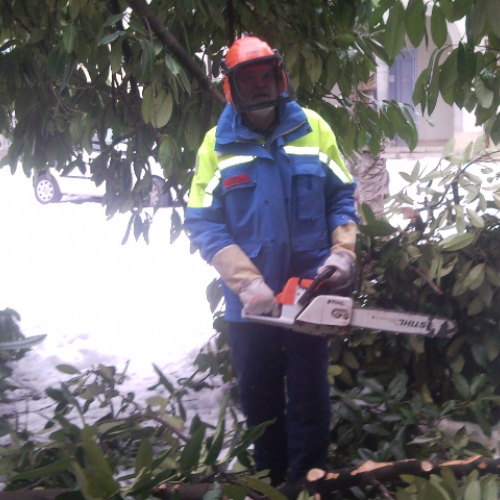 Interventi per la neve del 12/02/13 n. 9 / 90875