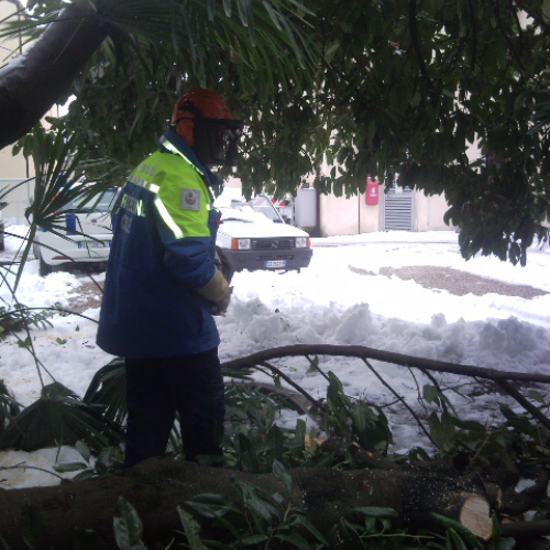 Interventi per la neve del 12/02/13 n. 10 / 90876
