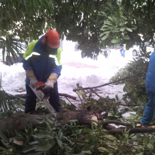 Interventi per la neve del 12/02/13 n. 11 / 90877