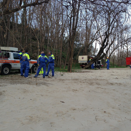 Corso motopompe 07/04 n. 11 / 93265