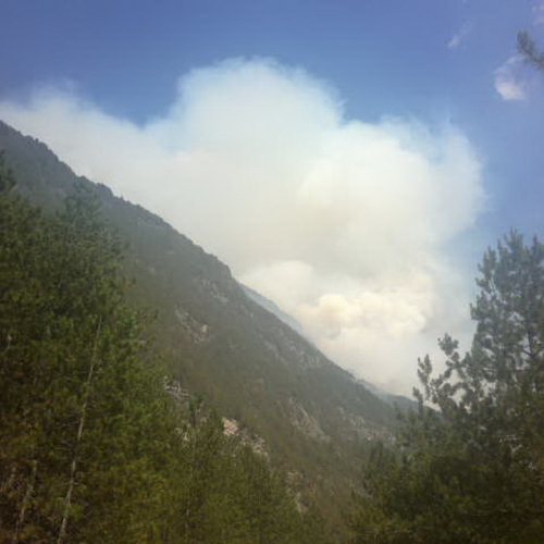 Attivit‡ AIB Gruppo Cividale del Friuli n. 7 / 98412