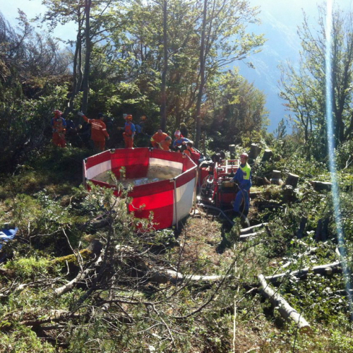 Attivit‡ AIB Gruppo Cividale del Friuli n. 35 / 98440