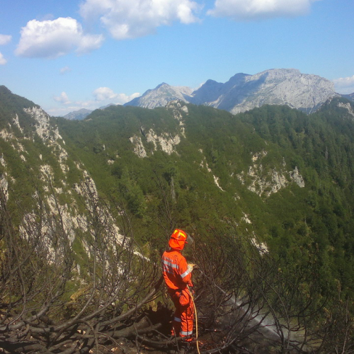 Attivit‡ AIB Gruppo Cividale del Friuli n. 43 / 98448
