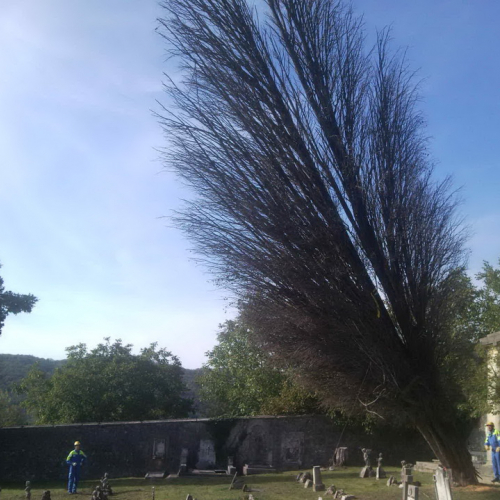 Attivit‡ del 19/10 n. 14 / 101006