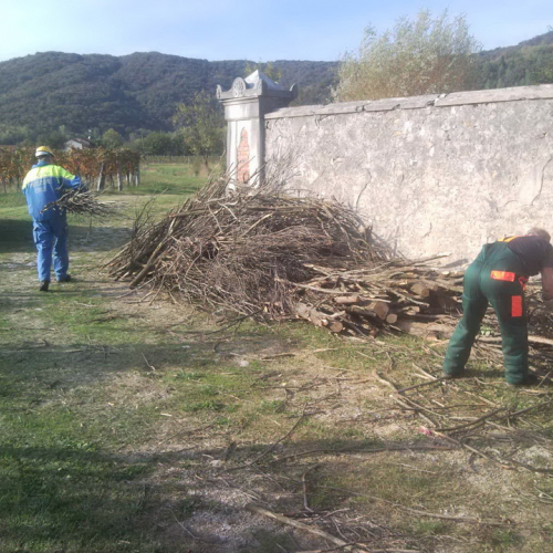 Attivit‡ del 19/10 n. 22 / 101014