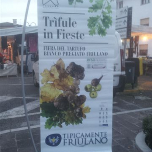 Trifule in Fieste Muzzana del Turgnana n. 4 / 101977