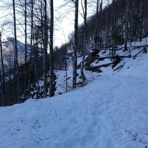 Attivit‡ di ricerca persona del 02/12 n. 2 / 102271