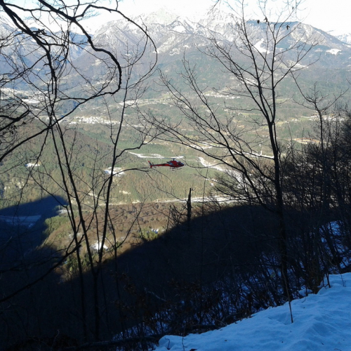 Attivit‡ di ricerca persona del 02/12 n. 11 / 102280