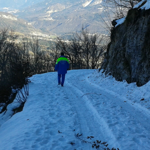 Attivit‡ di ricerca persona del 02/12 n. 13 / 102282