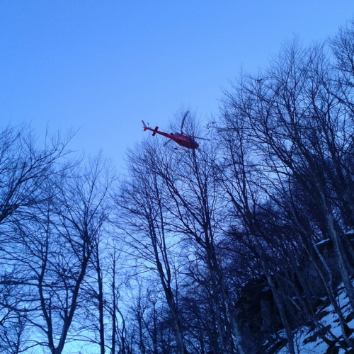 Attivit‡ di ricerca persona del 02/12 n. 15 / 102284