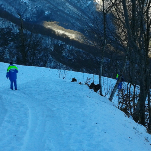 Attivit‡ di ricerca persona del 02/12 n. 16 / 102285