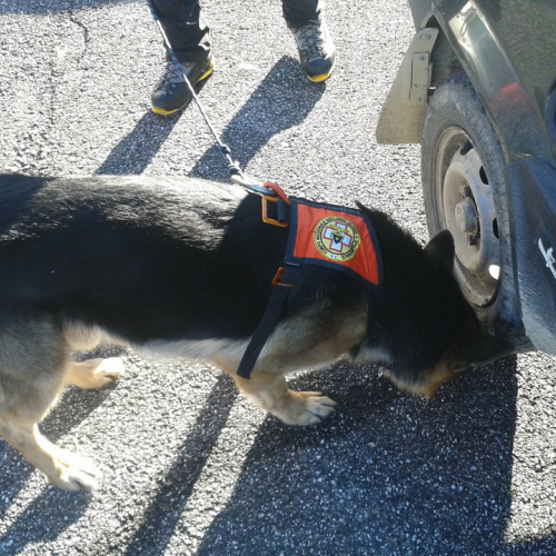 Attivit‡ di ricerca persona del 02/12 n. 20 / 102289