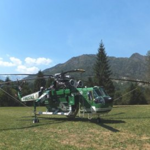 Intervento AIB Monte Corta (Andreis, PN) n. 15 / 98580