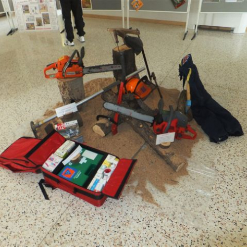 GRIS IN FIERA 2014 n. 5 / 108685