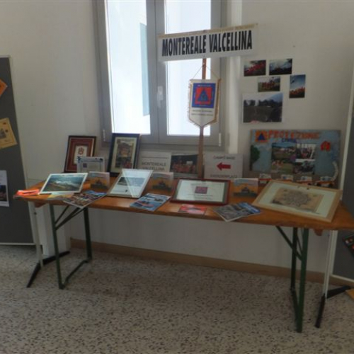 GRIS IN FIERA 2014 n. 11 / 108691