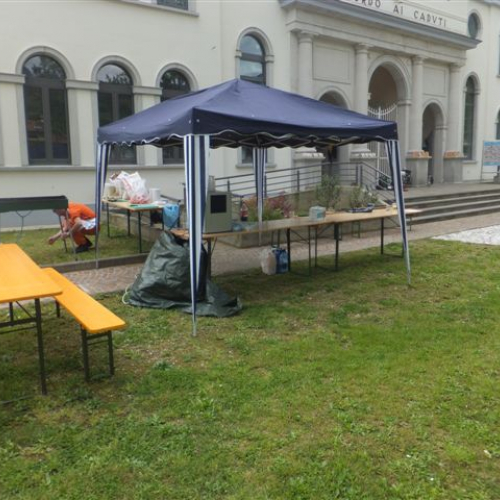 GRIS IN FIERA 2014 n. 25 / 108705