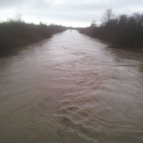 Intervento Gruppo Pc Muzzana del Turgnano n. 1 / 102730
