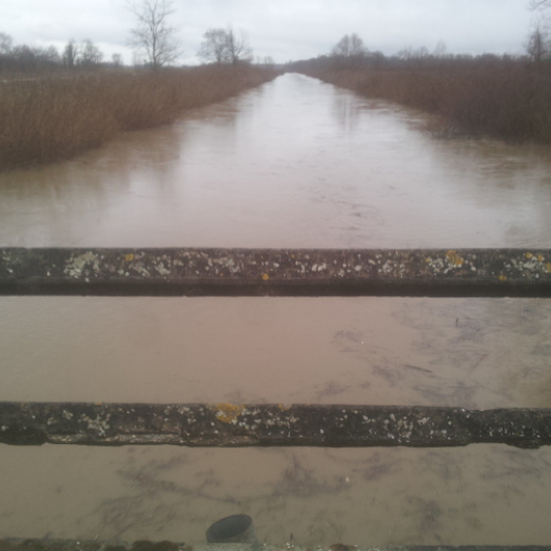Intervento Gruppo Pc Muzzana del Turgnano n. 2 / 102731