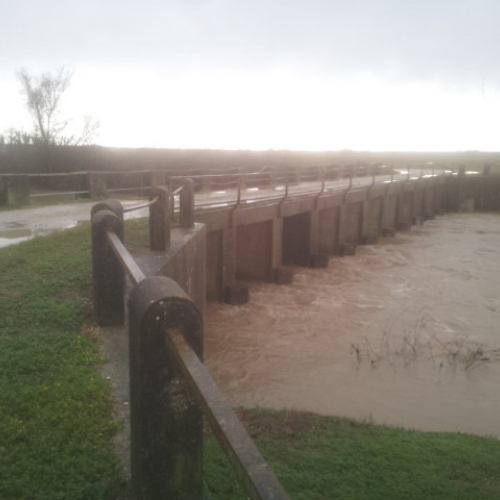 Intervento Gruppo Pc Muzzana del Turgnano n. 3 / 102732