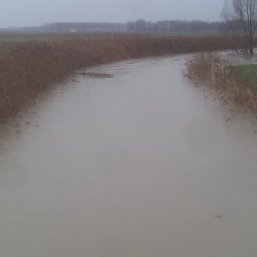 Intervento Gruppo Pc Muzzana del Turgnano n. 7 / 102736